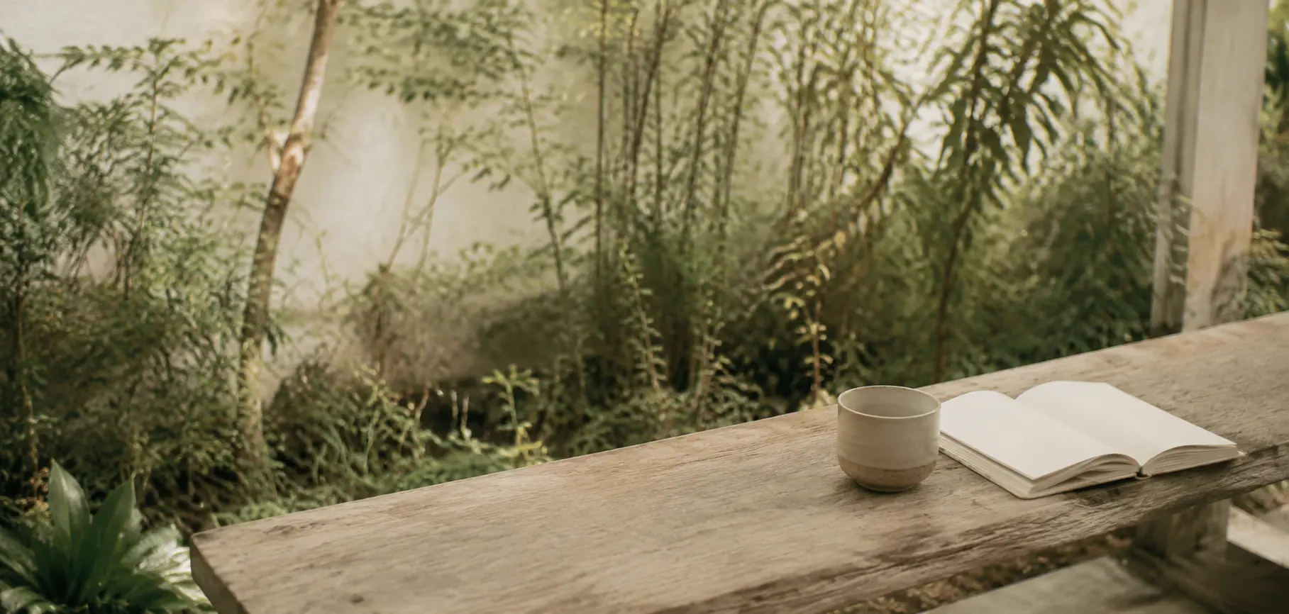 Mesa próxima a um jardim com luz suave e atmosfera de cuidado.